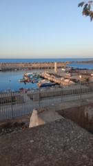 Hamza Blog