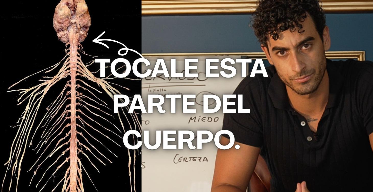 CALMAR EL SISTEMA NERVIOSO DE TU PAREJA ES MAGIA