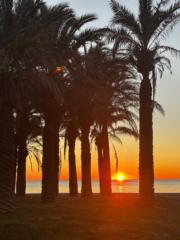 Irati Domínguez Blanco