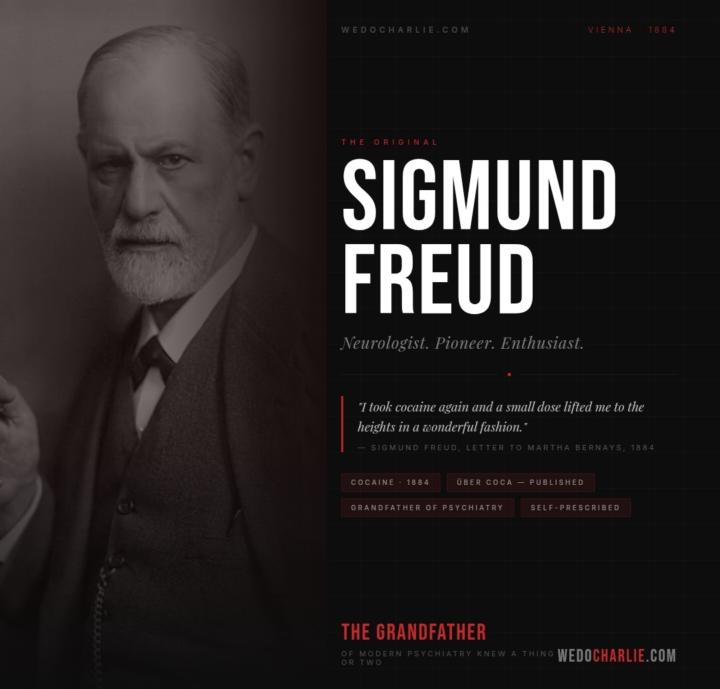Freud on Cocaine