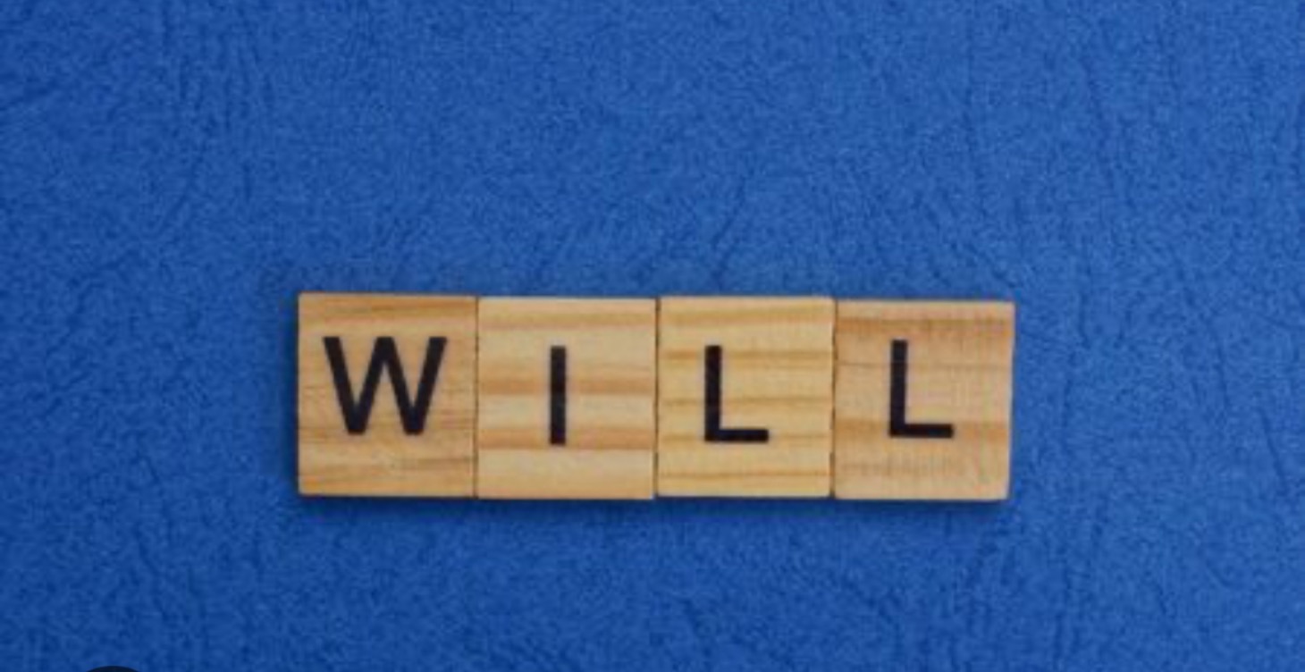 (1) Giris & Will
