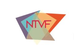 Natalia Torres Vieira Fernandes