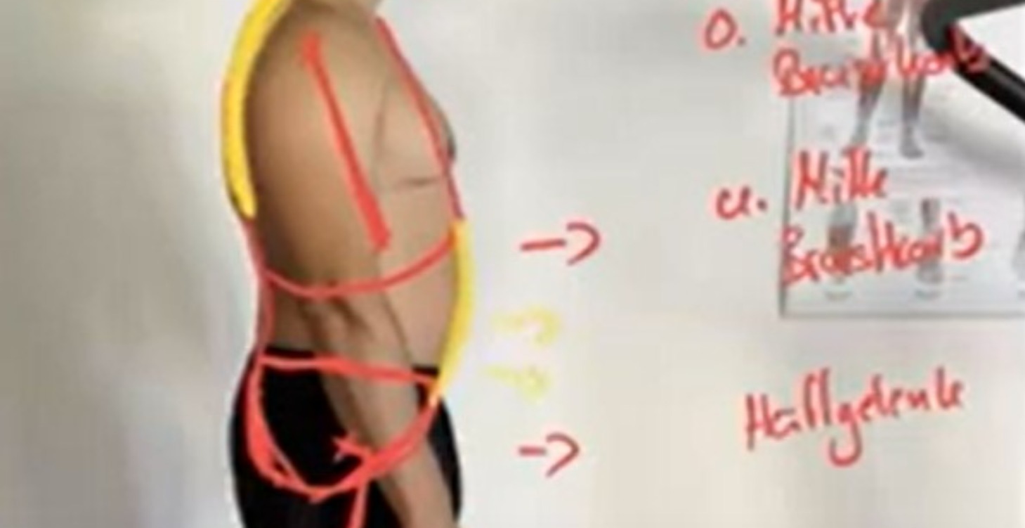 🩻 Einblick: Angewandte Strukturanalyse (3 Videos)