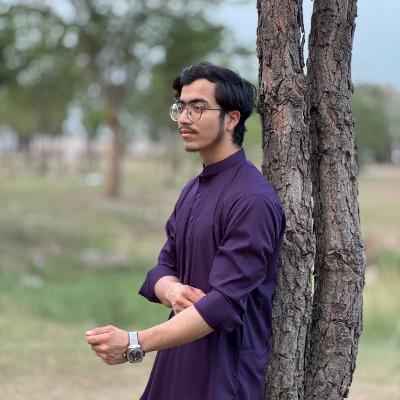 Malik Ahmed