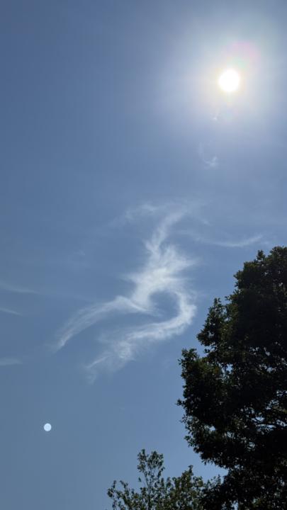 Cloud Creatures 