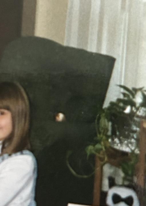 Orb or light leak/ camera glitch?