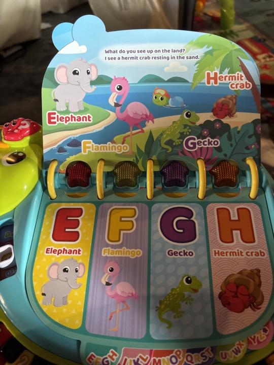 Signs from aliens 🤣💕👽🦩