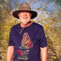 Ray Adams