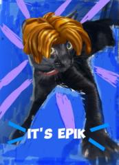 Epik Person