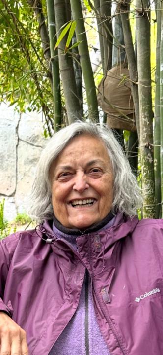 Susan Brookes
