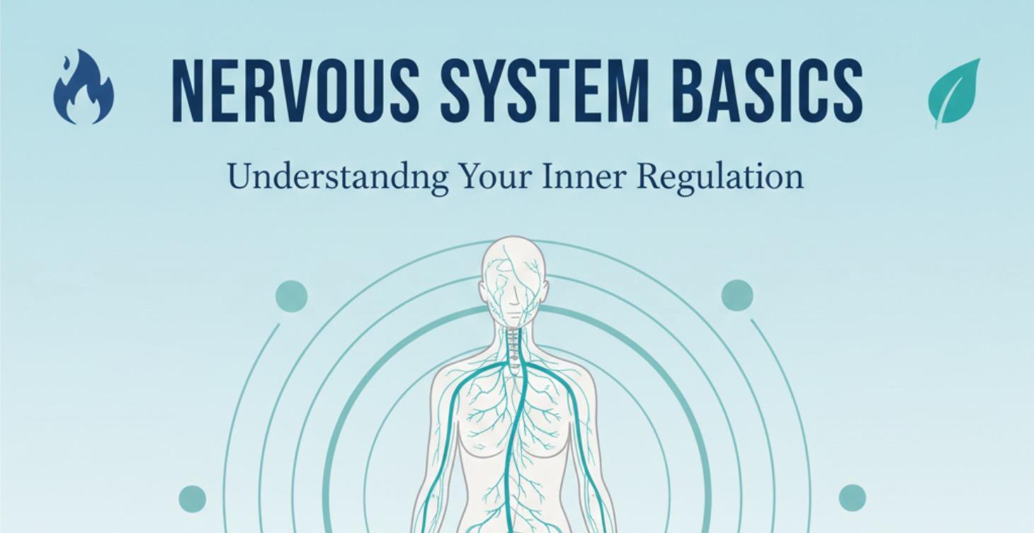 Nervous System Basics