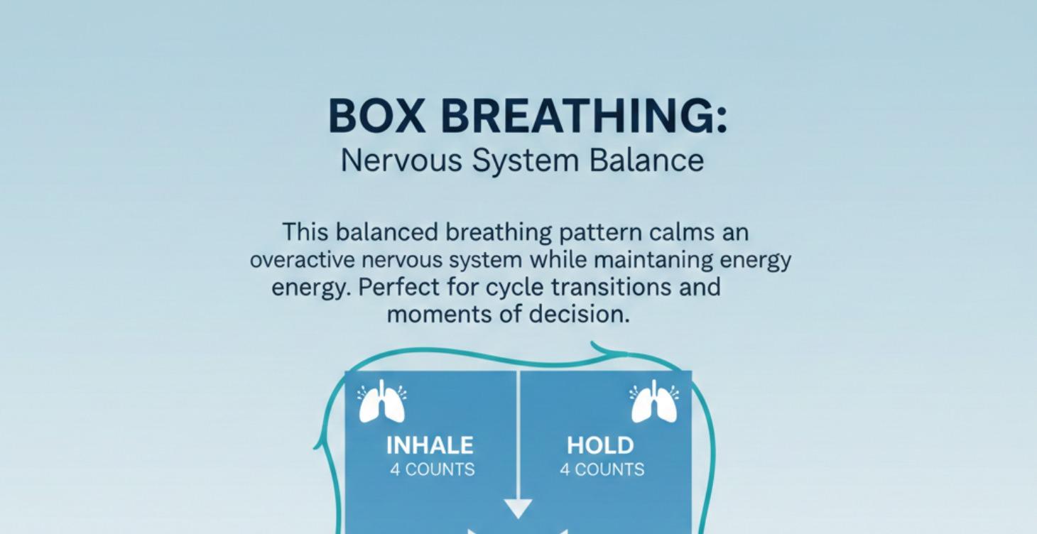 Nervous System Foundations