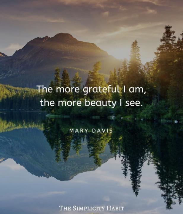 Gratitude Shifts Everything