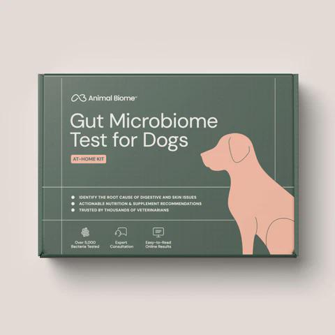 Saturday Underworld: Inside the Microbes Driving Your Dog’s Health