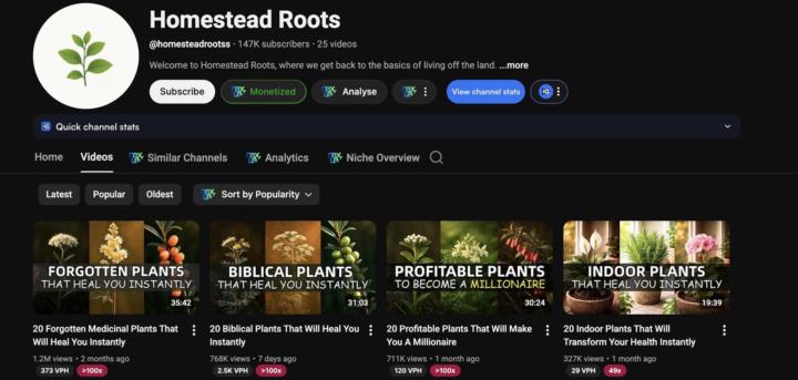 💰 From Simple Ideas to Serious Views… This Is YouTube Automation Done Right!