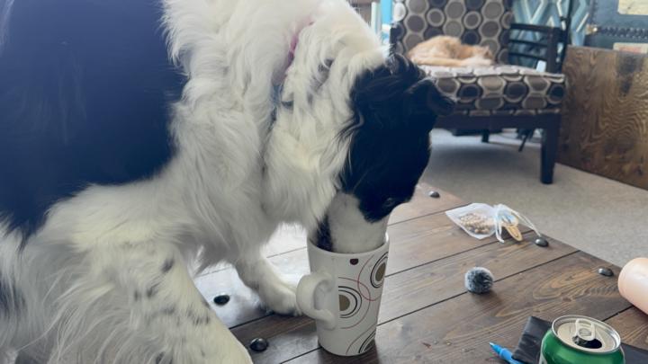 Success Was Supposed to Feel Better Than This