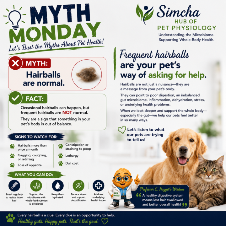Myth Monday: Hairballs Are Normal...Or Are They?