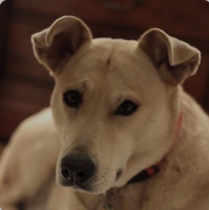 I miss her so much… already 😭