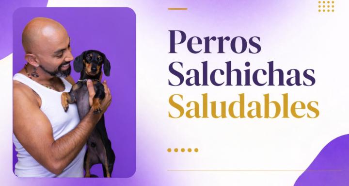 Perros Salchichas Saludables