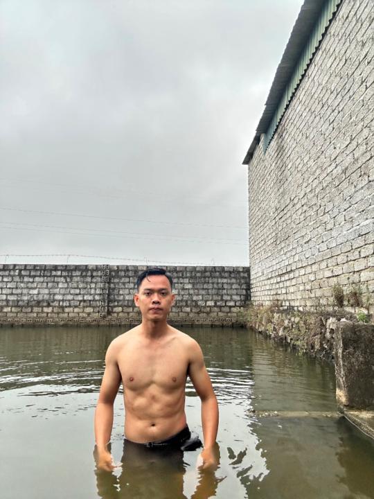 Hoàng Trần hữu