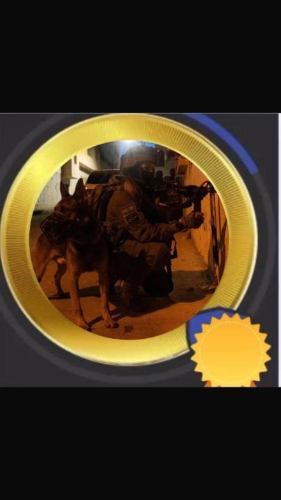 מ' בוגרת עוקץ