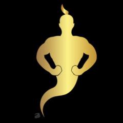 Black Diamond Genie