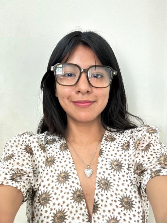 Helen Villca Vargas
