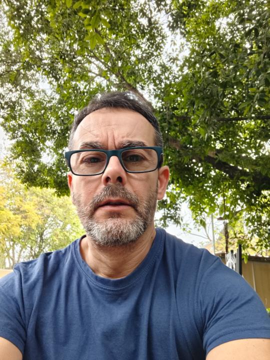 Galo Galo