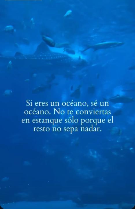Frase de mayo