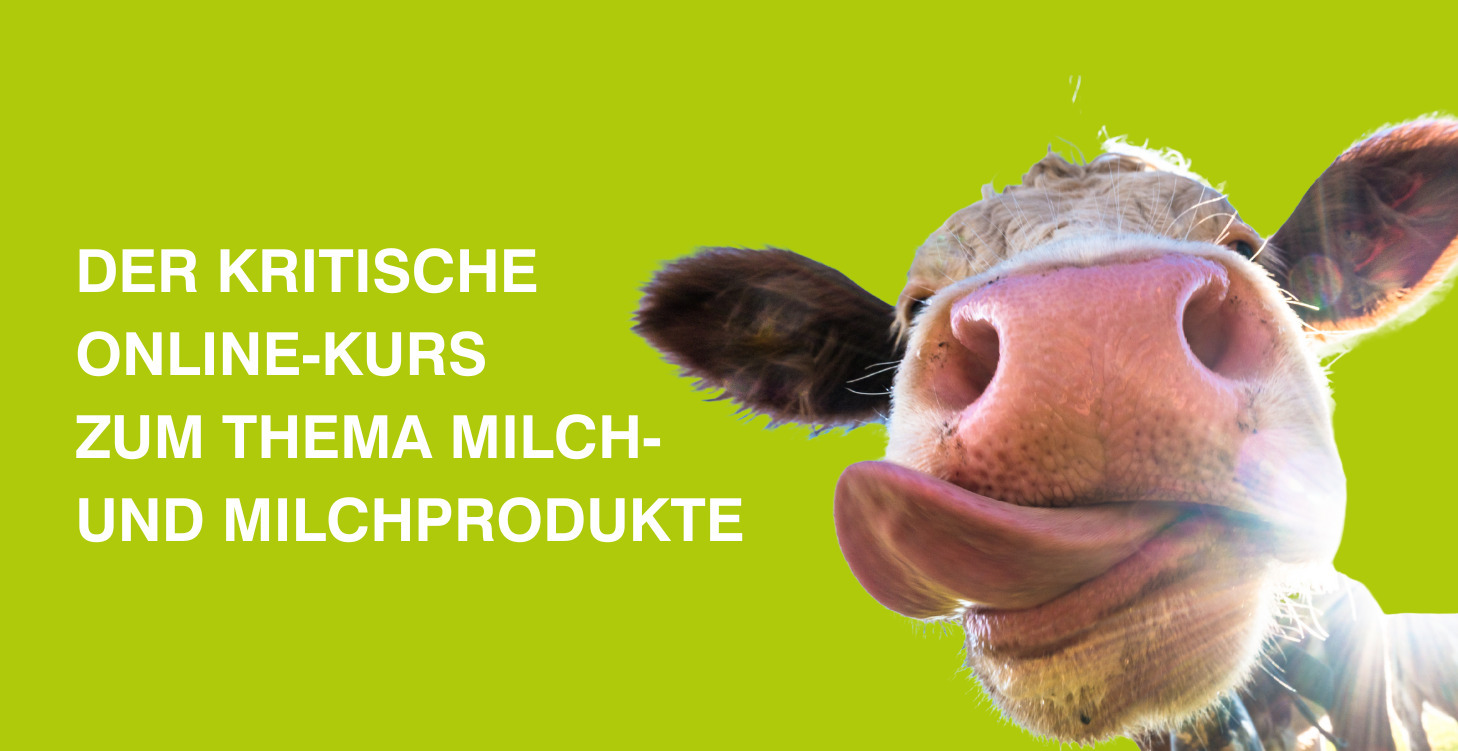 DAS KRITISCHE MILCHSEMINAR