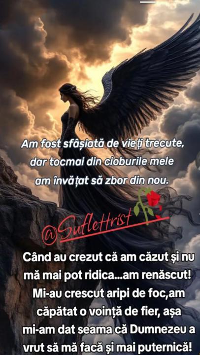 O ZI MINUNATA VA DORESC