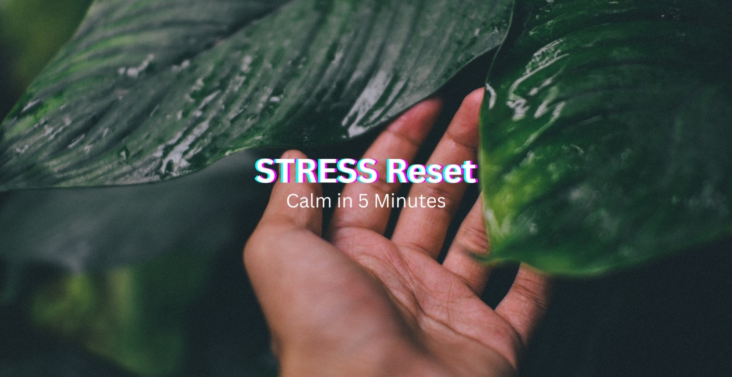 Stress Reset - Stop Anxiety in 5 Minutes