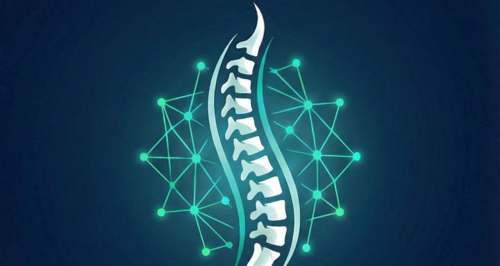 Orthopedic Surgeons Network