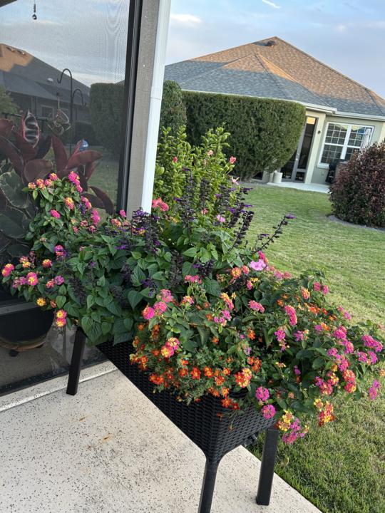 Proud planter moment