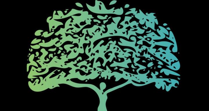 The Collective Oasis