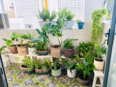 Diem Nguyen Thi Xuan