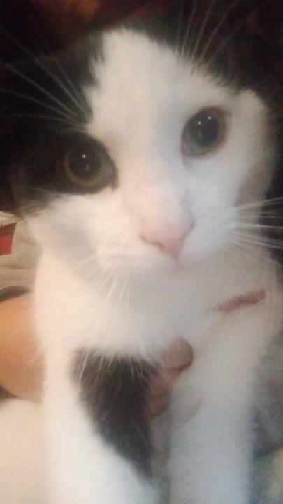 Estefanía Valdivieso