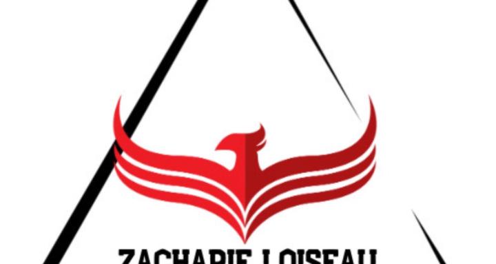 Boxing - learn and teach