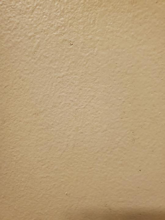 Vamsi krishna Battula