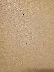 Vamsi krishna Battula