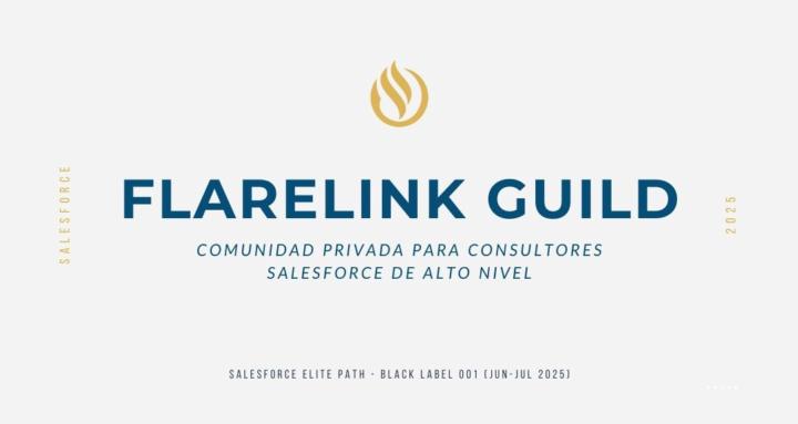 FlareLink Guild