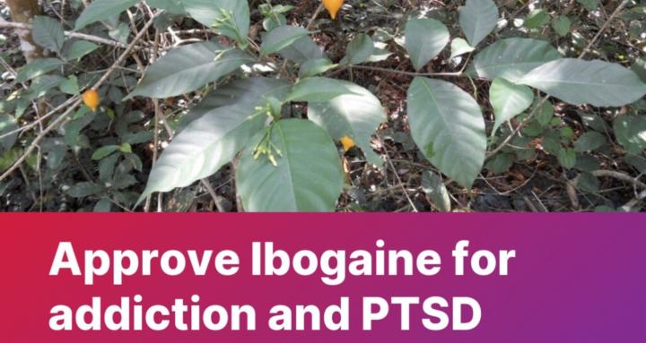 Ibogaine can heal.