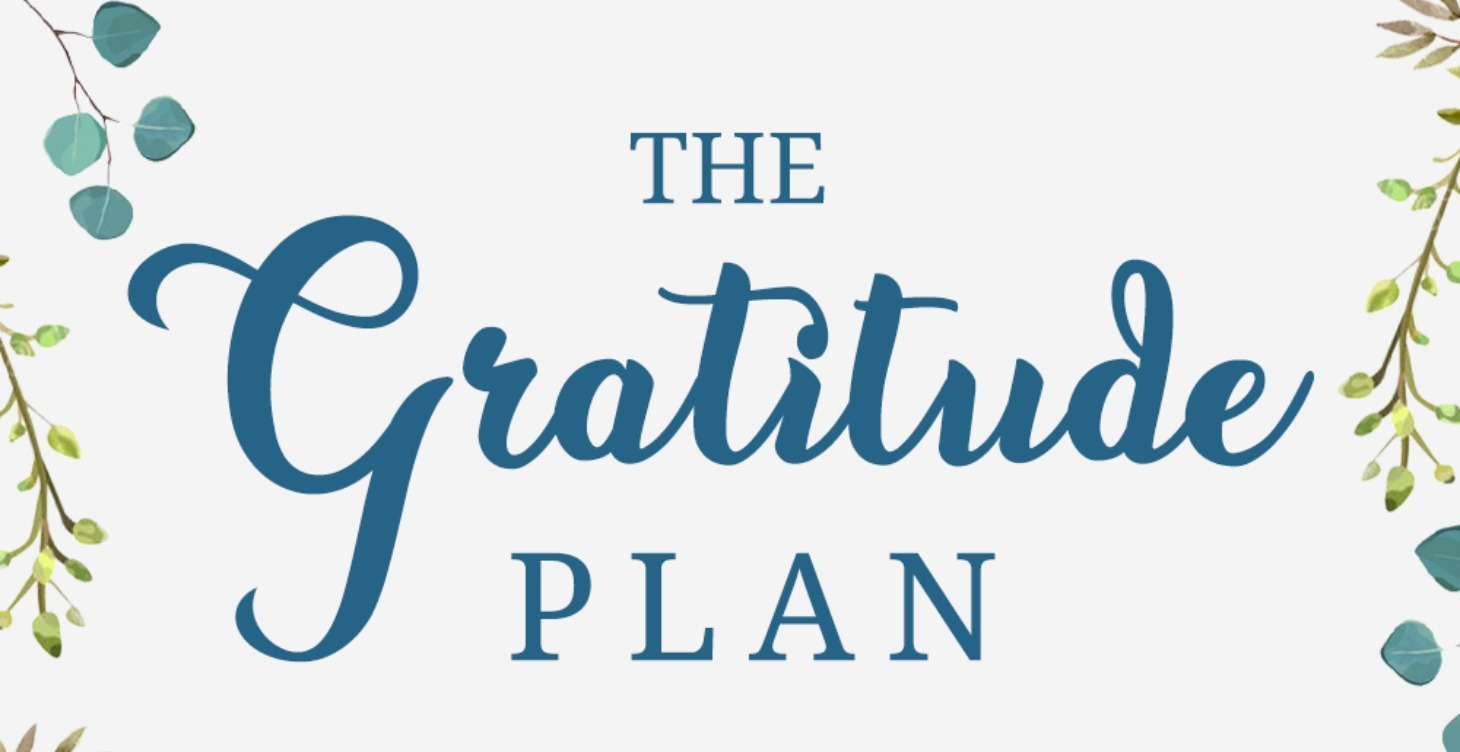 The Gratitude Plan Book