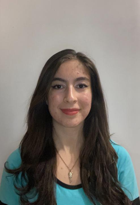 Fatemeh Sheibani