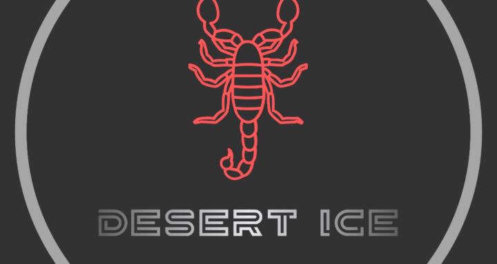 Desert Ice Hockey Training