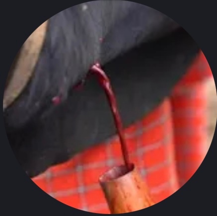 Drink Blood