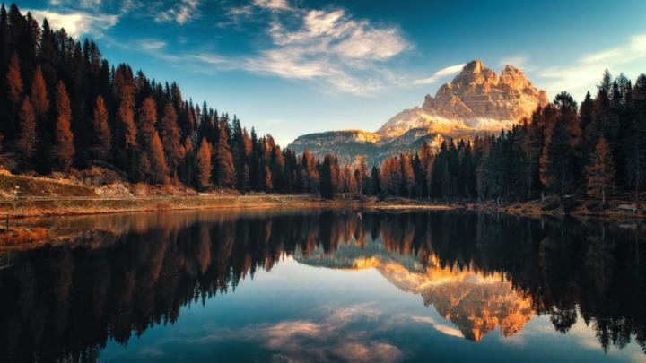 Veronica San Martín