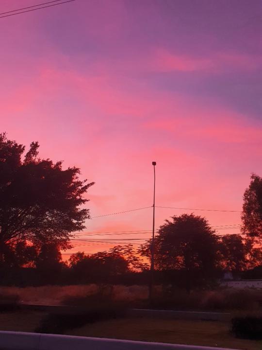 Xuân Phúc Nguyễn