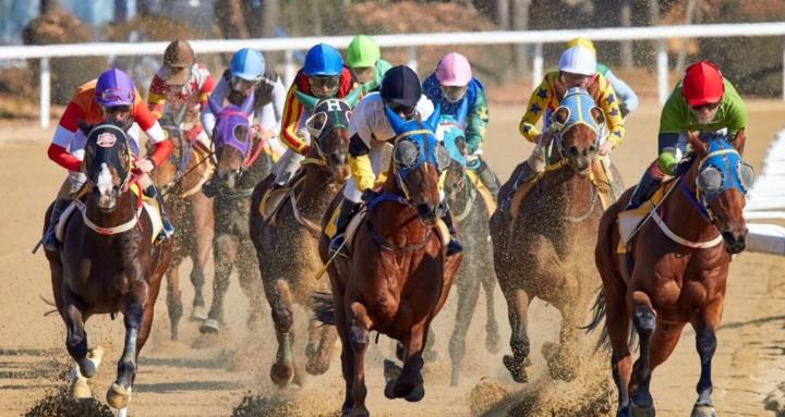 theprofessors.de Pferdewetten