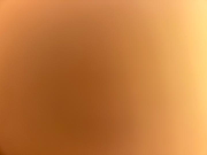 Laci Andrews